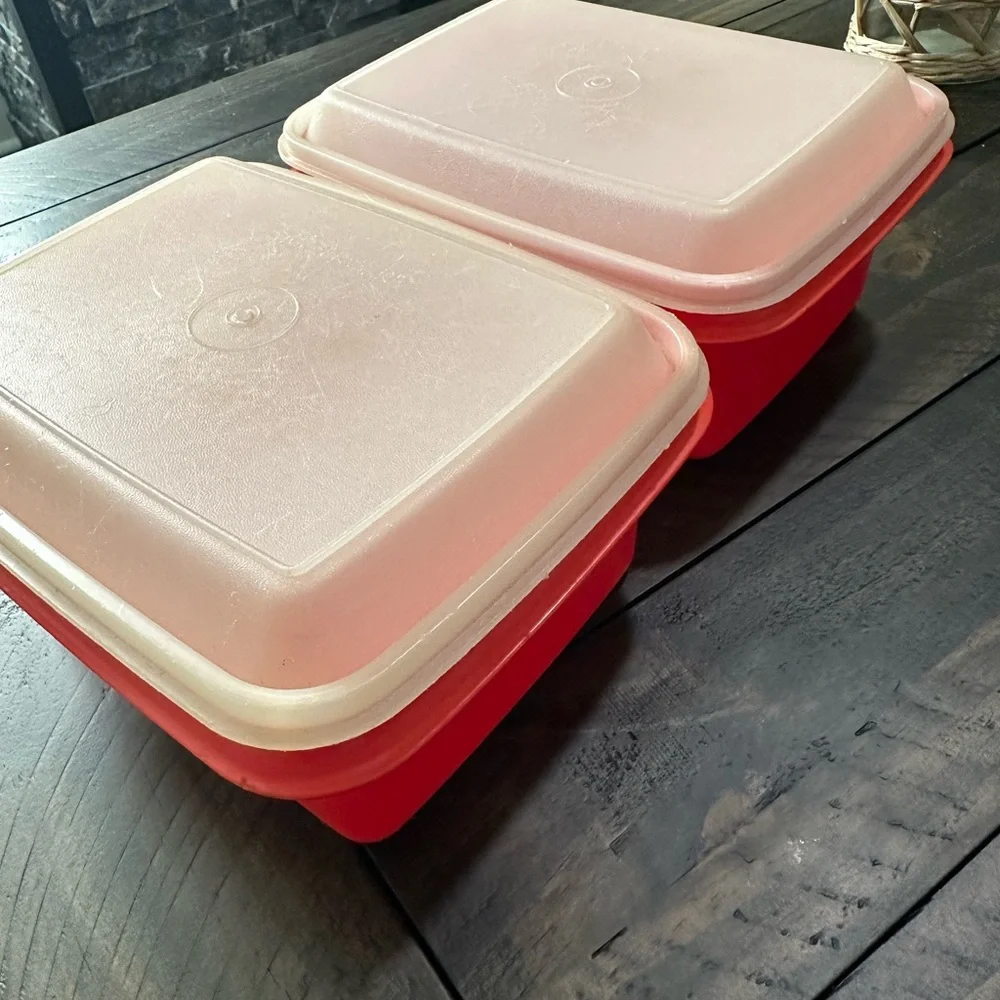 Tupperware vintage lunch carrier with handles
